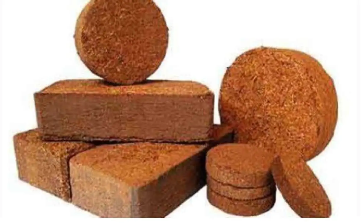 Compressed 5kg Cocopeat Block for Nurseries and Hydroponics