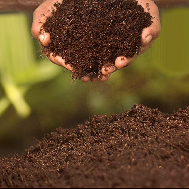 Bulk Coco Peat Powder Manufacturer India