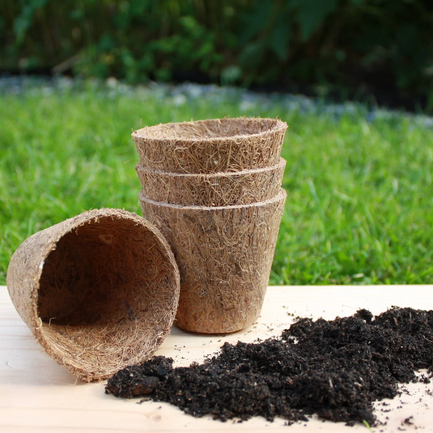 Natural coconut coir pots made from coconut fibre for sustainable gardening