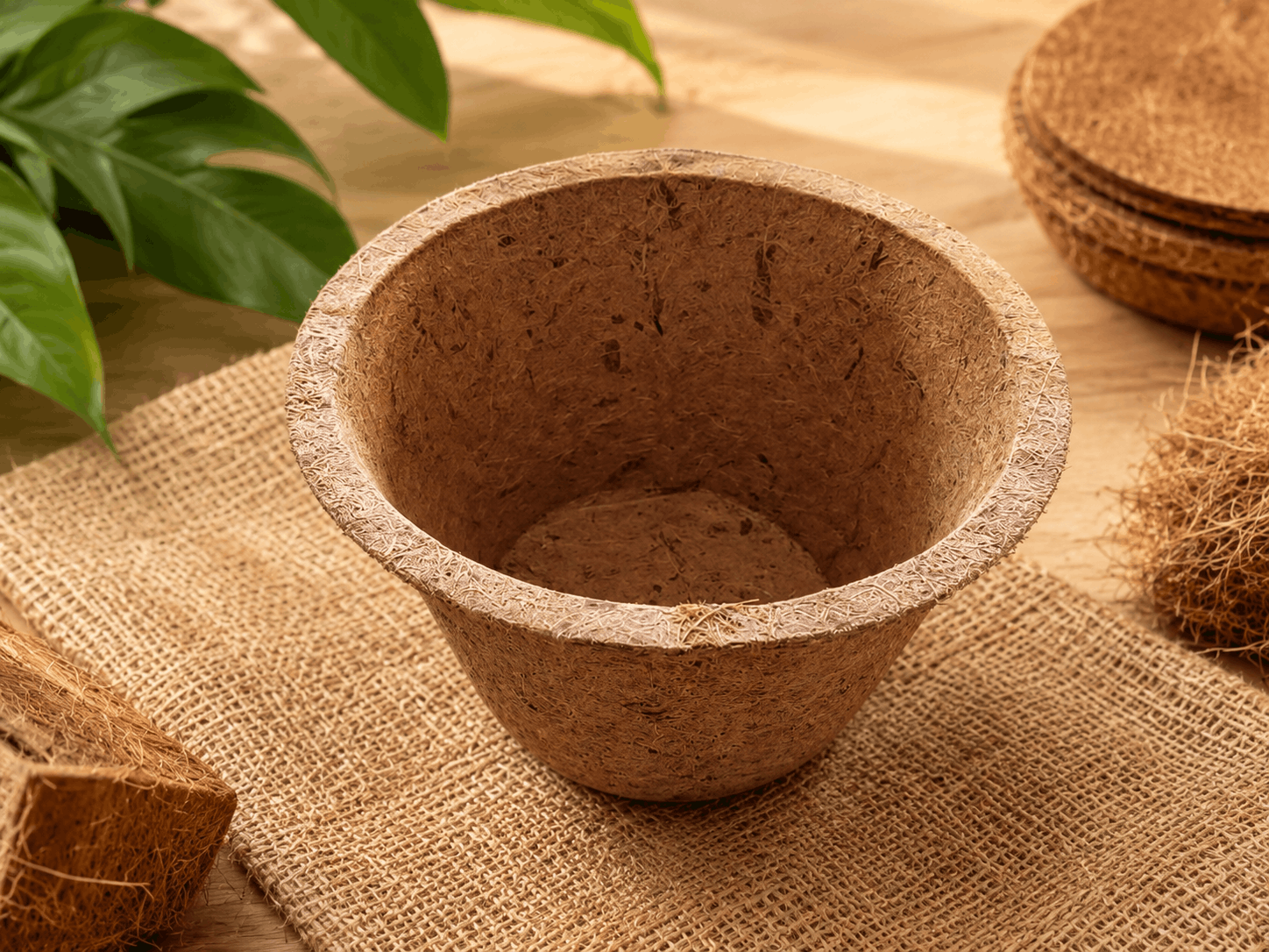6 inch natural coir pot for nursery plants, garden centres and commercial growers