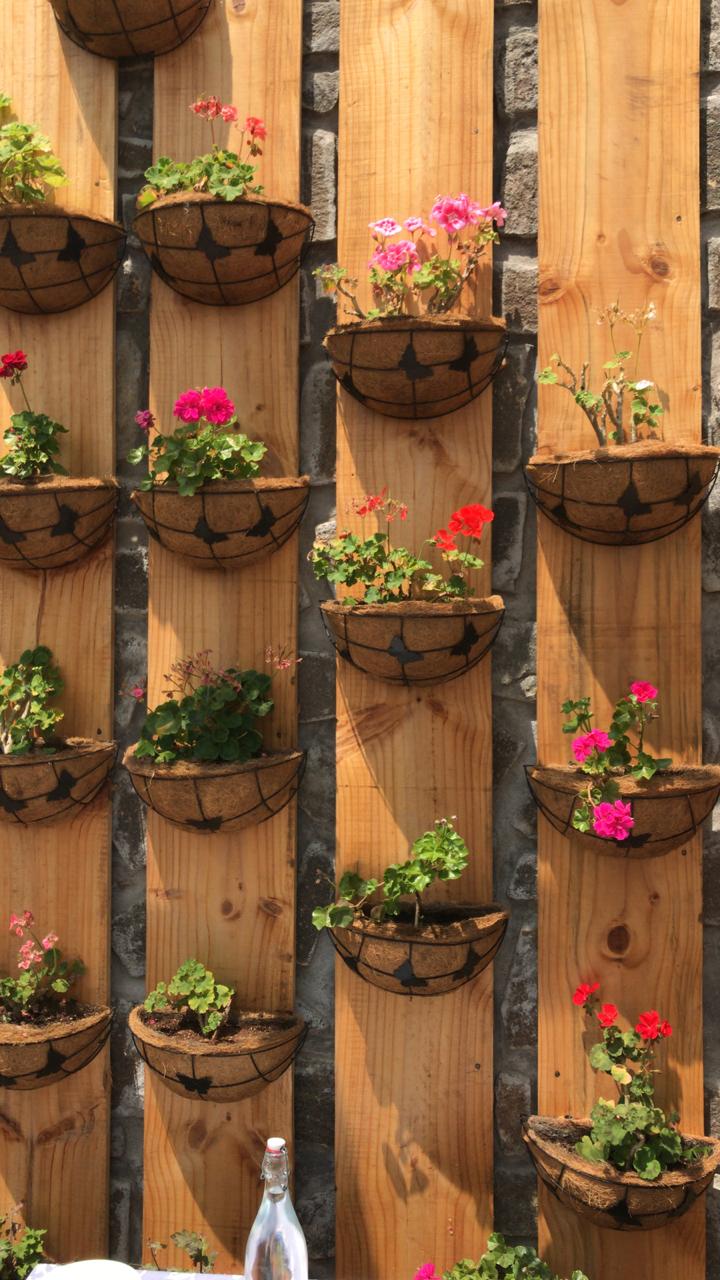 10 Inch Coir Decorative Wall Hangers Installed with Flowering Plants