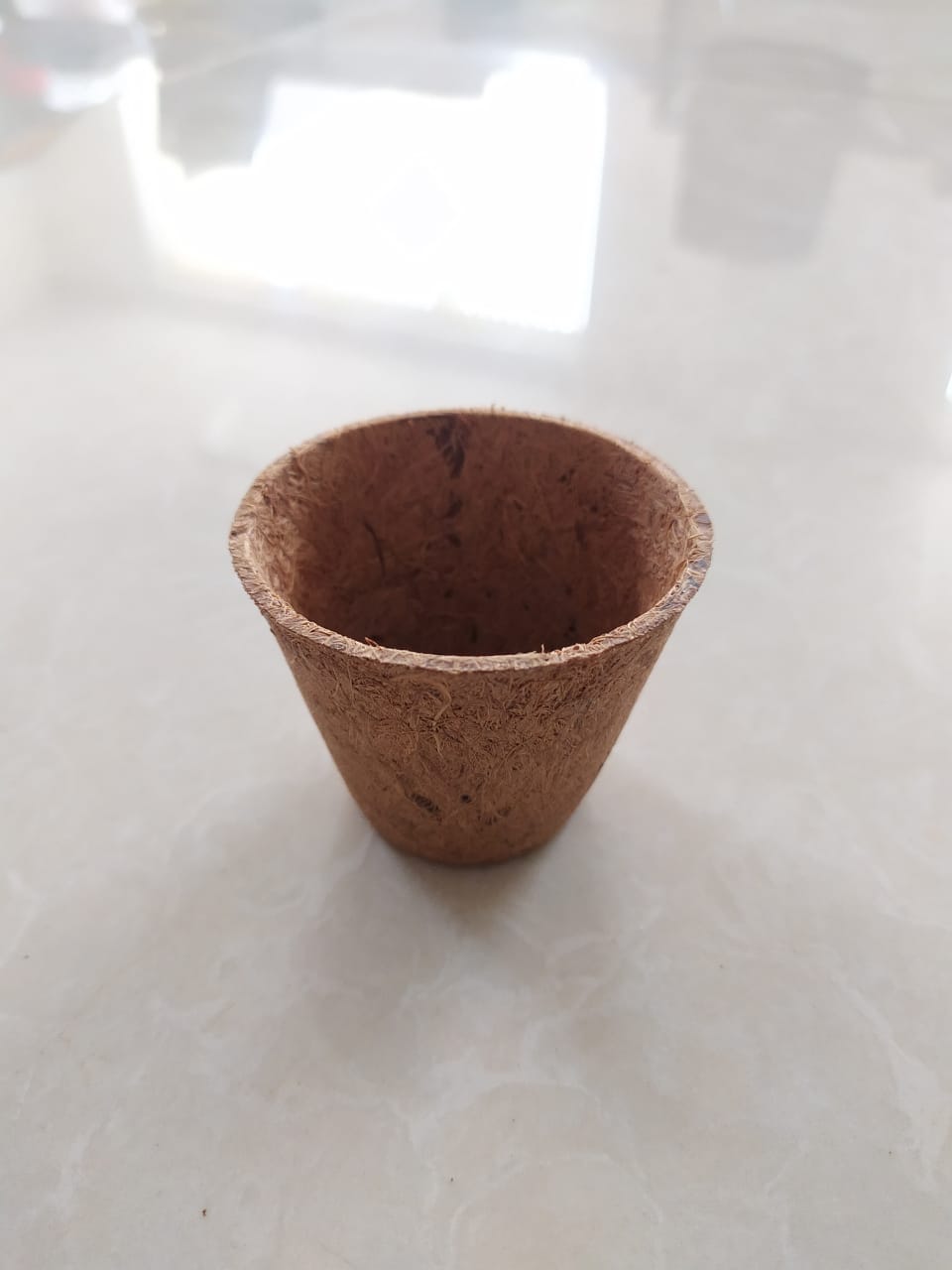 3 inch biodegradable coir pot for seed starting and nursery plant propagation